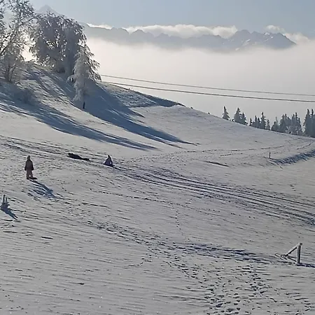 Privatunterkunft Widlakowka *