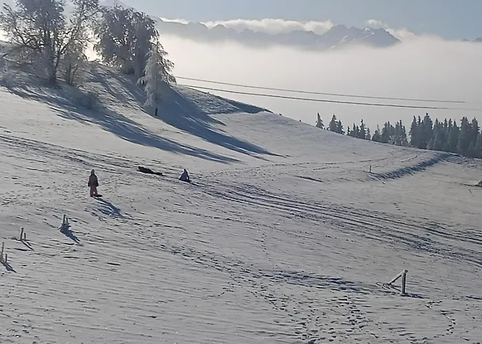 Privatunterkunft Widlakowka *